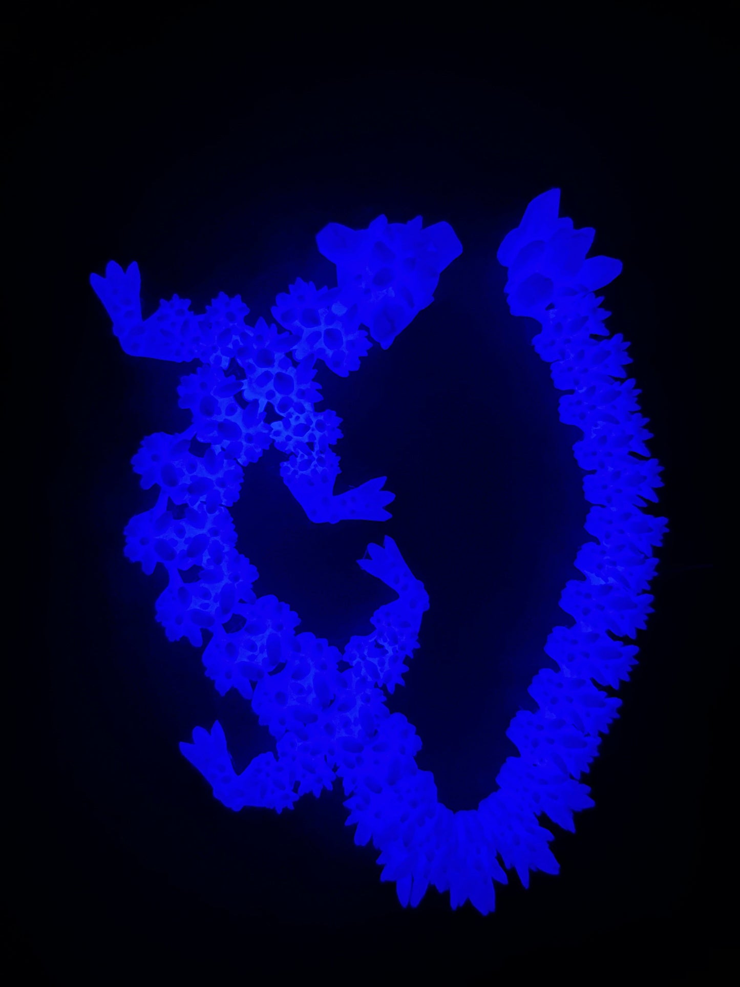 Glow-in-the-Dark Crystal Dragon